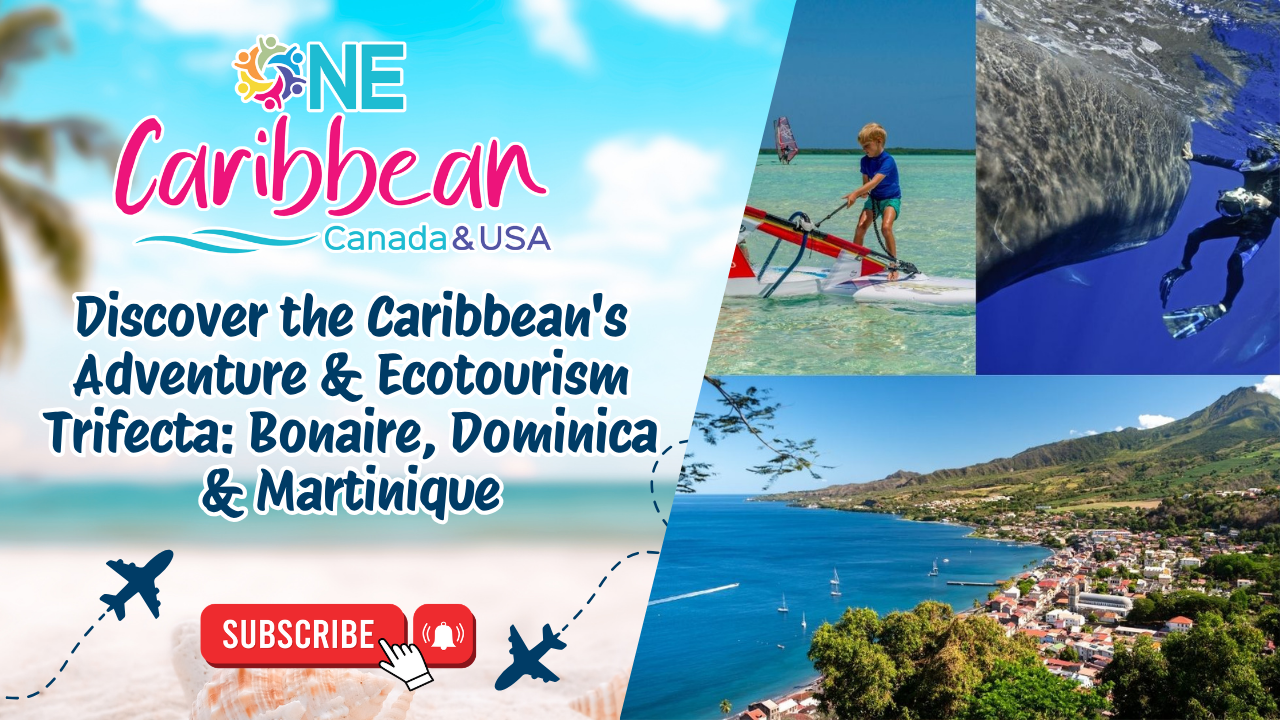 Discover the Caribbean's Adventure & Ecotourism Trifecta: Bonaire, Dominica & Martinique